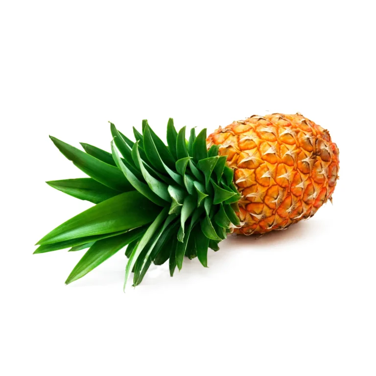 PIÑA